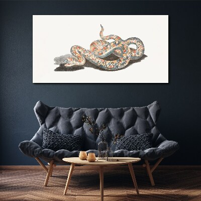 Snake pattern with colorful details Canvas print