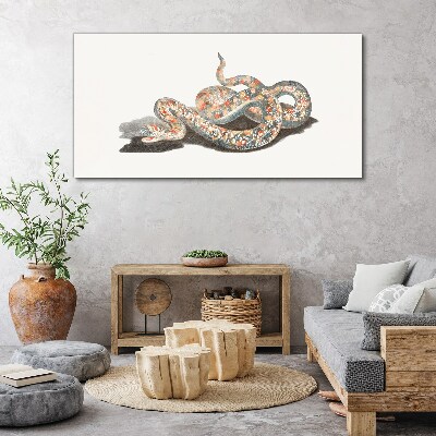 Snake pattern with colorful details Canvas print