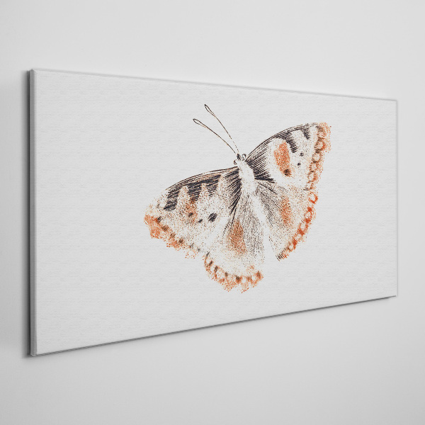 Butterfly on white background Canvas print