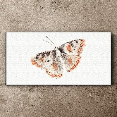 Butterfly on white background Canvas print