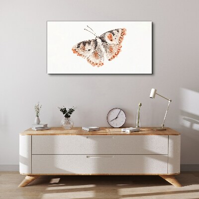 Butterfly on white background Canvas print