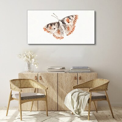 Bug insect butterfly Canvas print