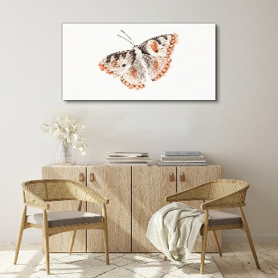 Butterfly on white background Canvas print