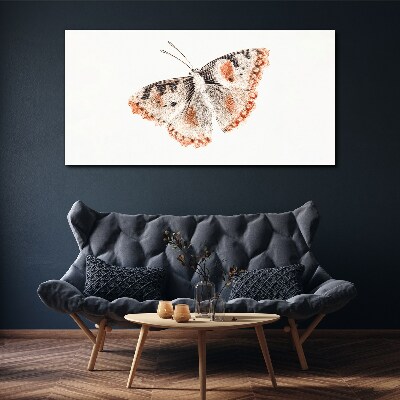 Butterfly on white background Canvas print