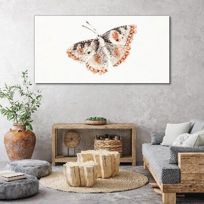 Butterfly on white background Canvas print