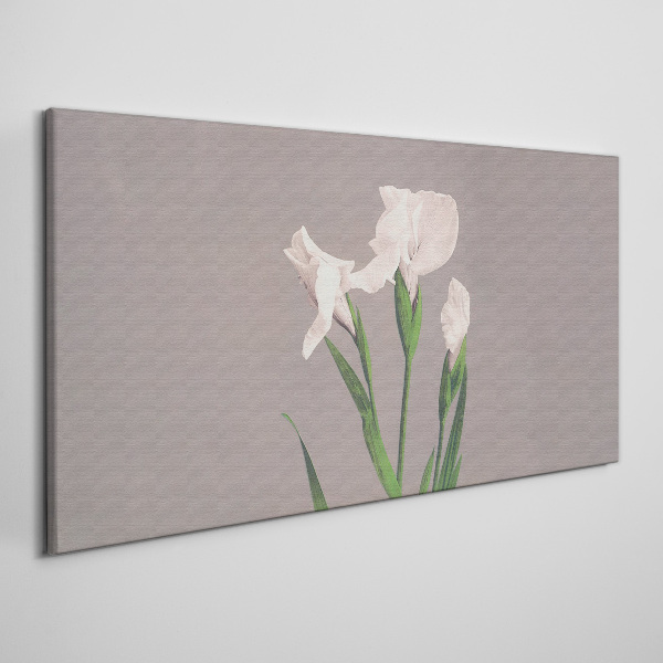 Flowers on a gray background Canvas print