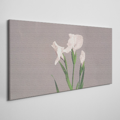 Flowers on a gray background Canvas print