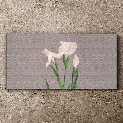Flowers on a gray background Canvas print