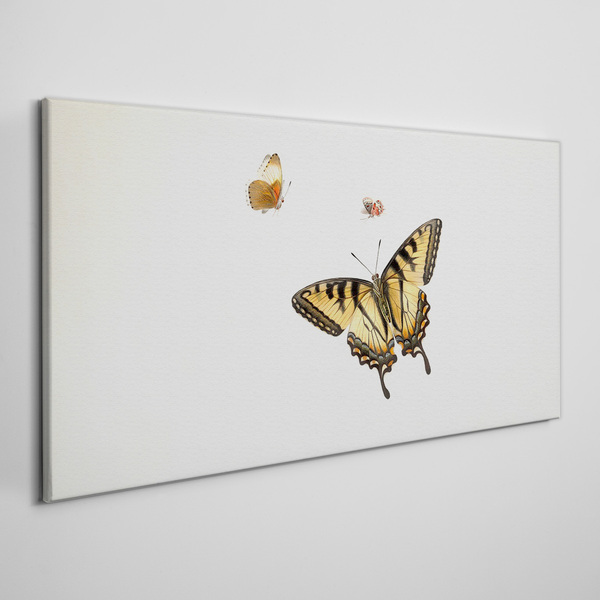 Butterflies in delicate harmony Canvas print