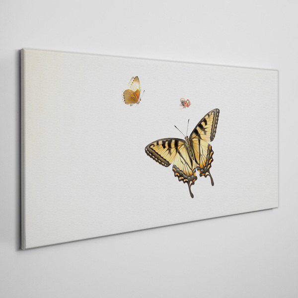 Modern bug insect butterfly Canvas print