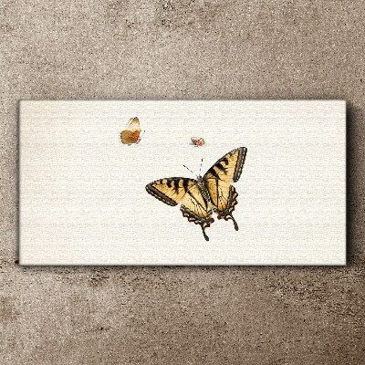 Butterflies in delicate harmony Canvas print