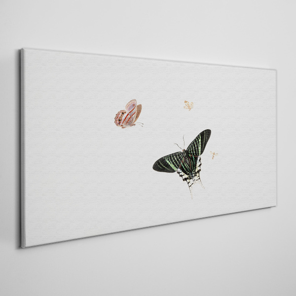 Butterflies in a delicate dance Canvas print