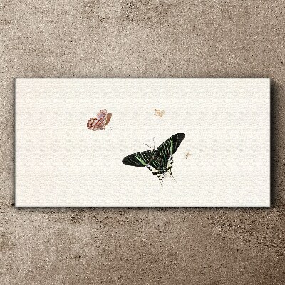 Butterflies in a delicate dance Canvas print