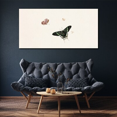 Butterflies in a delicate dance Canvas print