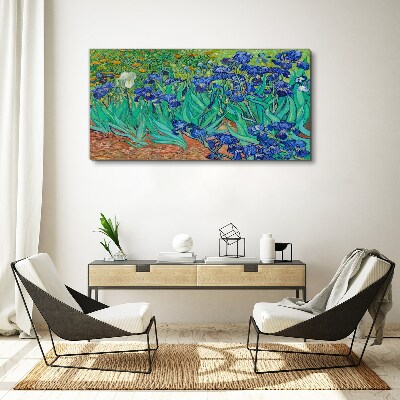 Irises in Bloom Canvas print