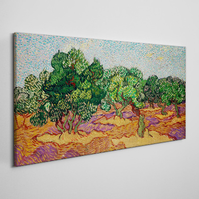Olives in the sun Canvas print