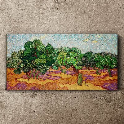 Olives in the sun Canvas print