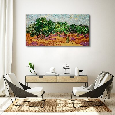 Olives in the sun Canvas print