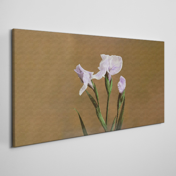 Iris flowers on a brown background Canvas print