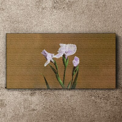 Iris flowers on a brown background Canvas print
