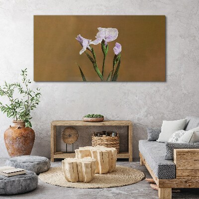 Iris flowers on a brown background Canvas print