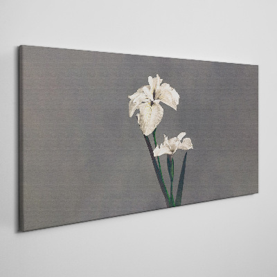 White irises on a gray background Canvas print