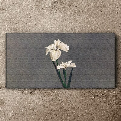 Flowers plants Canvas print