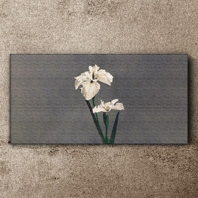 White irises on a gray background Canvas print
