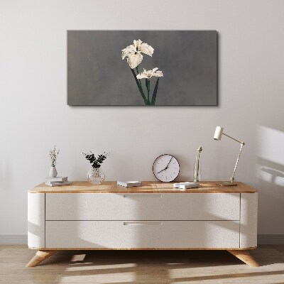 White irises on a gray background Canvas print