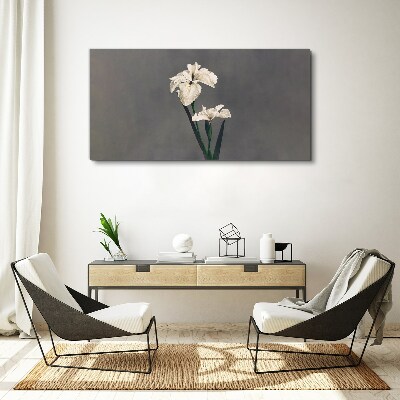 White irises on a gray background Canvas print