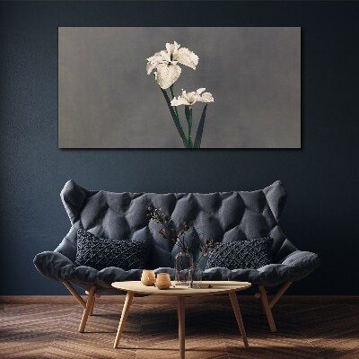 White irises on a gray background Canvas print