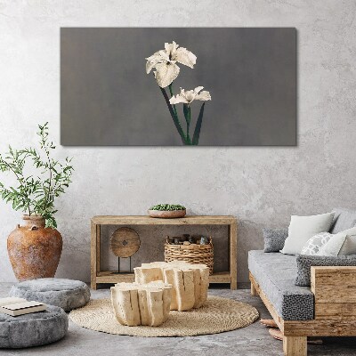 White irises on a gray background Canvas print