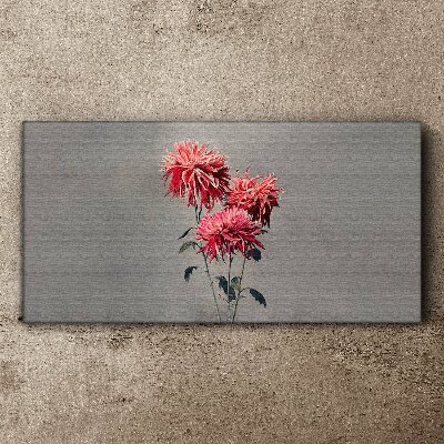 Pink flowers on a gray background Canvas print