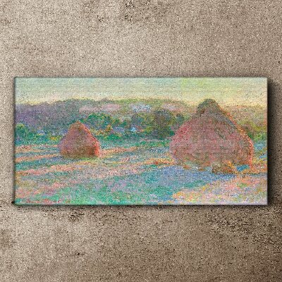 Hay harvest in the morning light Canvas print
