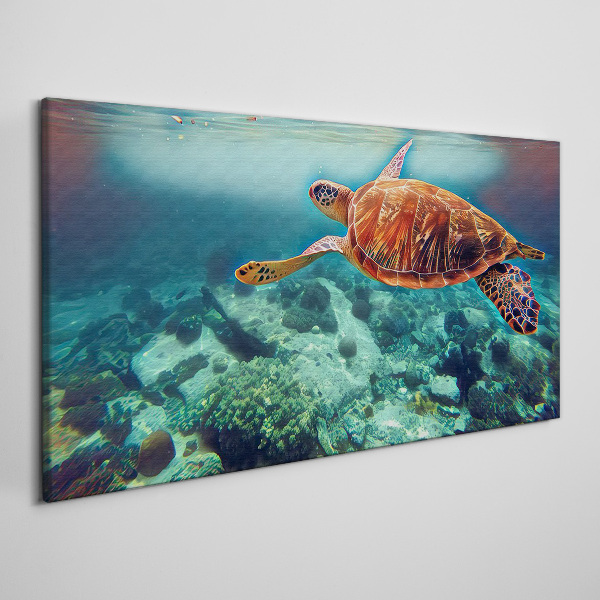 Turtle in Tranquil Waters Canvas Wall art