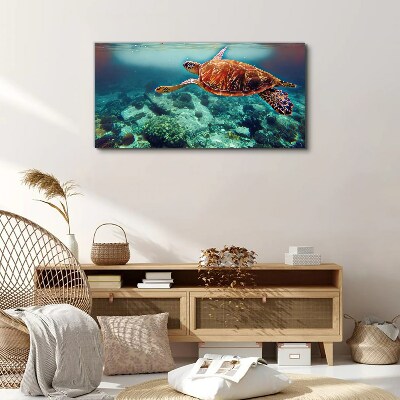 Turtle in Tranquil Waters Canvas Wall art