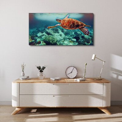 Turtle in Tranquil Waters Canvas Wall art