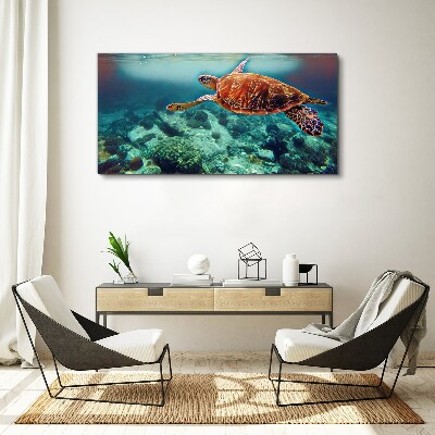 Turtle in Tranquil Waters Canvas Wall art