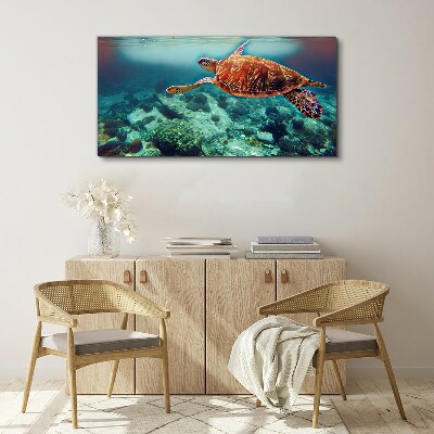 Turtle in Tranquil Waters Canvas Wall art