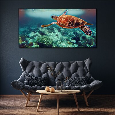 Turtle in Tranquil Waters Canvas Wall art