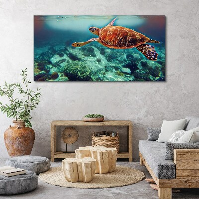 Turtle in Tranquil Waters Canvas Wall art