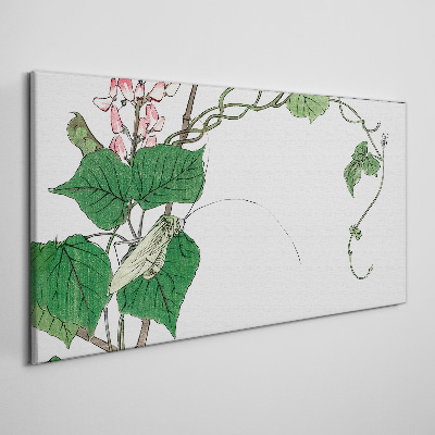 Leaves flowers insects Canvas print