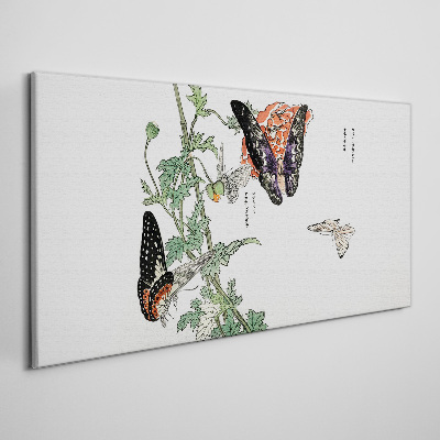 Butterflies on a background of flowers Canvas print