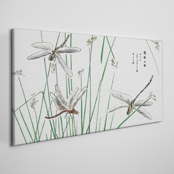 Slender dragonflies in green surroundings Canvas print