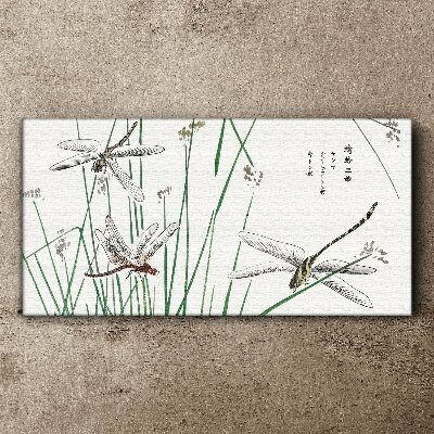 Slender dragonflies in green surroundings Canvas print