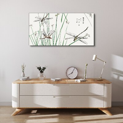 Slender dragonflies in green surroundings Canvas print
