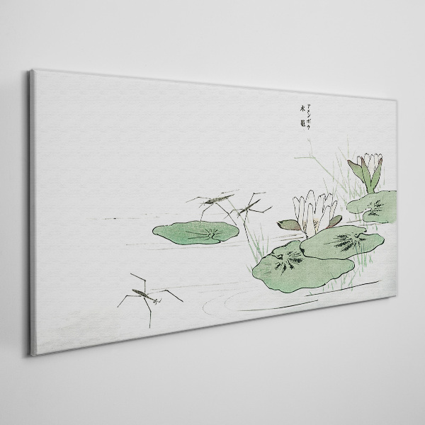 Water lilies on the pond Canvas print