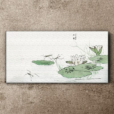 Water lilies on the pond Canvas print