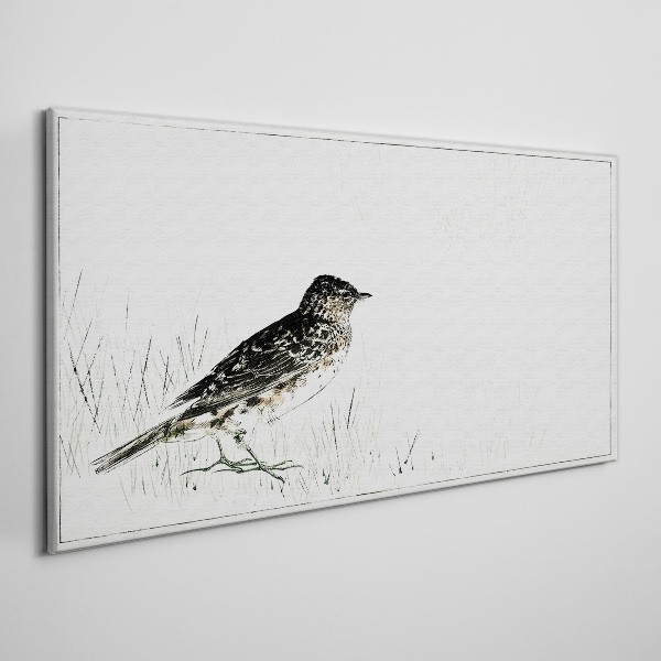 Bird on the grass background Canvas print