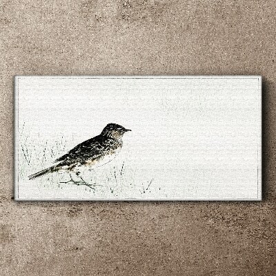 Bird on the grass background Canvas print
